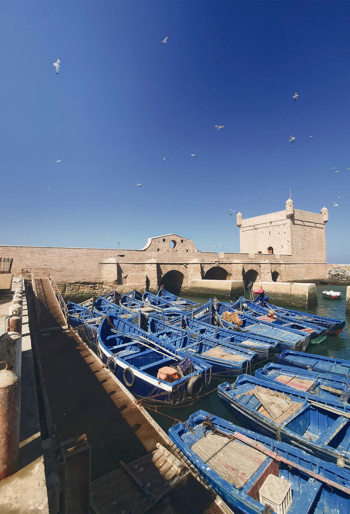 Essaouira – la plus belle Medina du Maroc 